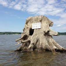 Hanki 29.404 sekunnin boat dock on the flooded arkistovideomateriaali, jonka nopeus on 23.98fps. Hollowed Out Tree Stump Duck Blind In The Middle Of The River Kayakyakyakyak Duck Hunting Blinds Duck Hunting Waterfowl Hunting
