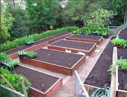 The Ultimate Kitchen Garden Courtesy Of A California Master Remodelista Garden Layout Vegetable Vegetable Garden Raised Beds Vegetable Garden Design