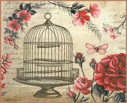 Bird In A Gilded Cage Lyrics Gilded Cage But No Bird 238 Pieces Blossoms Art Art Art Prints