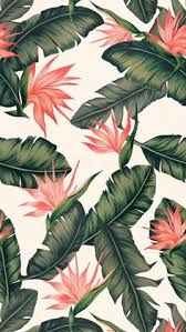 T N Talinordia On Pinterest