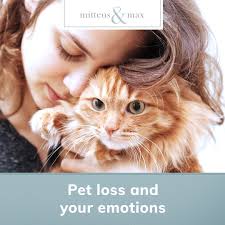 Feeling a tiny sliver of peace after adopting a pet