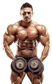 Gym background design resources · high quality aesthetic backgrounds and wallpapers, vector illustrations, photos, pngs, mockups, templates and art. Gym Bodybuilding Transparent Background Png Play