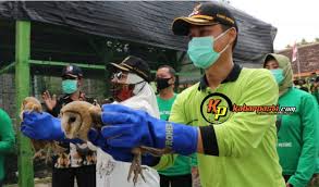 Aliran listrik di sejumlah wilayah di jakarta mati pada. Anna Mu Awanah Launching Koko Belloq Di Kedewan Untuk Merawat Ekosistem Pertanian Kabar Pasti