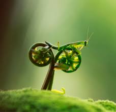 Welcome to your shot, national geographic's photo community. 314 New Nature Images For Whatsapp Profile Nature Whatsapp Dp Download