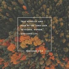 Pin By Mariette Oosthuizen On Uplift Fear Of The Lord Proverbs 22 4 Proverbs 22