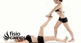 En los tendones de diferentes partes del cuerpo (pie, pulgar, rodilla, mano), encontramos unos diminutos huesos, que realizan distintas funciones, dependiendo de la zona en la que se sitúe. Gimnasia Abdominal Hipopresiva Durante El Embarazo Parto Y Postparto Inmediato Fisiocampus