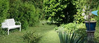 Beautiful camera hd android latest 1.2.3 apk download and install. Free Download Beautiful Natural Green Garden Background 3d Illustration Backgrounds Textures Indivstock