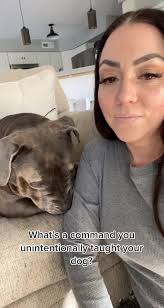 followformorevideo #mauritius🇲🇺 #fyp #fypシ゚viral🖤tiktok #followmya...