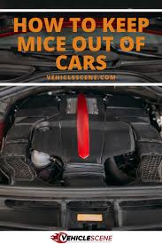 How To Keep Mice Out Of Cars A Step By Step Diy Guide Prevention Tips For The Future Car Vehicle Care Car Care