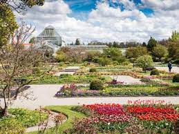Begleitend dazu haben der botanische garten, biotopia und das museumspädagogische zentrum (mpz) gemeinsam ein leporello entwickelt, das die pflanzenfossilien zu den noch lebenden nächsten verwandten in verbindung setzt. Der Botanische Garten Munchen Fantastische Flora In Nymphenburg