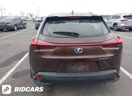 Image result for Autumn Shimmer 2019 UX