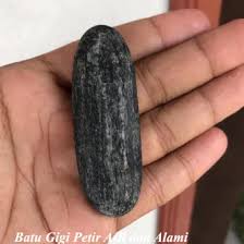 Harga batu petir alami original 1000% asli alam. Jual Produk Batu Petir Natural Gigi Petir Termurah Dan Terlengkap Agustus 2021 Bukalapak