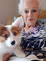 Dog befriends intellectually disabled person