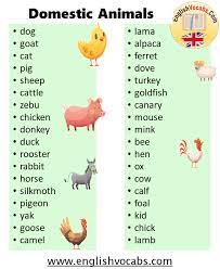 One of the most fascinating things to study in science class is the animal kingdom. What Is Domestic Animal 30 Domestic Animals List English Vocabs