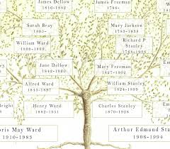 A Custom Chart Of Your Family Tree To Celebrate Members Past