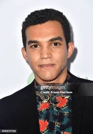 250 Photos & High Res Pictures