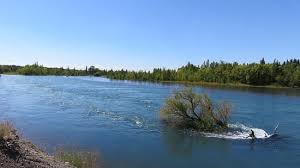 Save your money with our exclusive offers on hotels in plottier, argentina. Argentina Neuquen Plottier En China Muerta Acceso Rio Limay Bild Von Provinz Neuquen Patagonien Tripadvisor