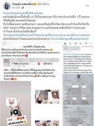 กระต่าย พรรณนิภา เริ่มเข้าสู่วงการด้วยการทำเพลงเองลงในยูทูบ ภายใต้การดูแลของ คุณครูสอนภาษาไทย ไพบูลย์ แสงเดือน แต่ที่ทำ. Fkvozf1mbrhlgm