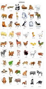 Pin De Imen Kthiri En Vocabulaire Anglais Animales En Ingles Ingles Basico Para Ninos Ingles Para Preescolar