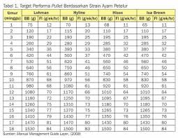 We did not find results for: Harga Pullet Ayam Petelur Terbaru 2mk Network