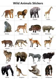 Wild Animals Stickers Wild Animals Stickers Animals Stickers Wild Wildanimals Wilda In 2020 Animal Pictures For Kids Wild Animals Pictures Wild Animals List
