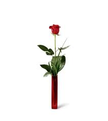 There are 46 shops found in iowa city, iowa. Flowers Under 50 Sueppel S Flowers Iowa City Ia Florist