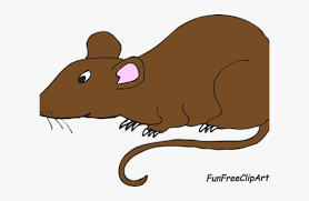 Transparent Cartoon Rat Png Rat Clipart Png Download Kindpng Try to search more transparent images related to rat png |. transparent cartoon rat png rat
