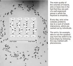 As time passes, the pheromone levels in each node will decay. Ant Colony Optimization Algorithms Wikipedia