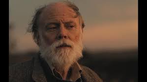 The Bee-eaters (2020)