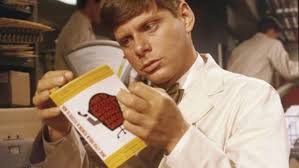 Regular guy' Morse happy to accept honor at Palm Beach International Film  Festival