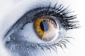Cornea - What Is The Cornea - Laservision