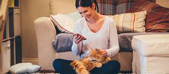 While preventative care coverage cost extra, the insurance offers aspca pet insurance offers two main plans: What To Know About Pet Insurance Before You Buy It