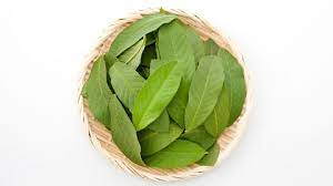 Selain digunakan untuk mengatasi masalah rambut rontok, manfaat dari daun jambu biji juga dapat digunakan untuk membuat rambut lebih halus manfaat lain yang bisa anda peroleh lainnya ketika menggunakan perawatan dari daun jambu biji adalah dapat digunakan untuk menangkal radikal. 7 Manfaat Daun Jambu Biji Untuk Rambut Dan Cara Pakainya