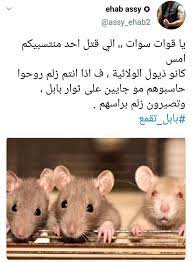 قوات سوات القوات القذرة من زمن الملعون المالكي ترا الغربية حقها من كانت تسميهم الفرقة القذرة لانهم عبارة عن قوة حزبية لا اكثر قدرتهم على المت animals hamster