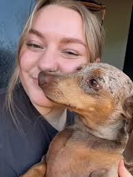 Pet sitter available in Oklahoma City