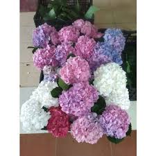 Decorations faux hydrangea for beauty home decorations. Hydrangea Flower At Rs 160 Bunch Fresh Flower Id 21300129512