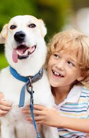 2024 Tuxes & Tails Program by Humane Society of Tampa Bay