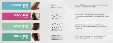 Naturallycurly's curl type system focuses on types 2 (wavy), types 3 (curly) and types 4 (coily). How To Determine Your Hair Type Four Factors To Consider Natura
