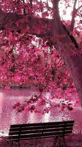 30 Spring Nature Wallpaper Full Hd Phone Backgrounds For Iphone Android Lock Screen Nature Wallpaper Phone Backgrounds Pink Nature