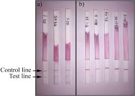 The goal is to imbed all reagents so that a flowing sample rehydrates and moves all materials up a test strip. Lateral Flow Dipstick Test For Serodiagnosis Of Strongyloidiasis In The American Journal Of Tropical Medicine And Hygiene Volume 101 Issue 2 2019