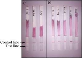 Lateral flow testing (lft) is one of the ways that we can help keep ourselves and others safe and to prevent the spread of coronavirus. Lateral Flow Dipstick Test For Serodiagnosis Of Strongyloidiasis In The American Journal Of Tropical Medicine And Hygiene Volume 101 Issue 2 2019