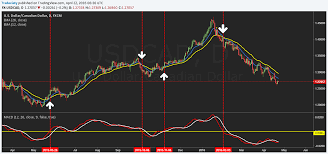 My Trading Strategy With Macd And Adx 52 Week High System