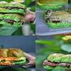 Rasa moka yang khas dipadukan lembutnya roti kukus bakal bikin kamu ketagihan. Https Encrypted Tbn0 Gstatic Com Images Q Tbn And9gct0c0blcdkcnbeo9uxjzizgn Ah0kp8pj3l2upqehtvagru2ven Usqp Cau