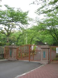 西森 燎 小豆島中央高校 西森 遼. é–¢è¥¿å‰µä¾¡å°å­¦æ ¡ Wikipedia