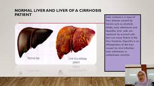 The study of heredity(inheritance) and variation or study of mechanisms by which characteristics are passed from parents to offspring. E Belajau Biology Form 4 Chapter 9 9 4 Youtube
