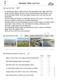 Der nationalpark wattenmeer bietet unvergessliche, einzigartige naturerlebnisse. 19 Wattenmeer Ideen Wattenmeer Ebbe Und Flut Grundschule