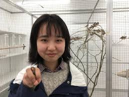 Mina — following the groove (2019) mina — l'indifferenza (2019) mina — assimilation and contrast (2019) Mina Ogino Department Of Collective Behaviour
