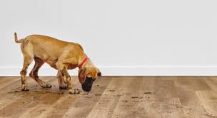 Karndean design flooring, founded in 1973, is one of the world's most renowned and respected luxury flooring. Karndean Lvt Floors Quality Luxury Vinyl Flooring Tiles Planks
