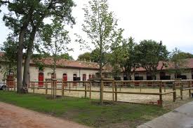 Haras Des Brumes Chevalannonce Com
