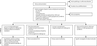 Image result for Progesterone Challenge Test
